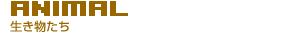 ��蕨���A�[�~�[